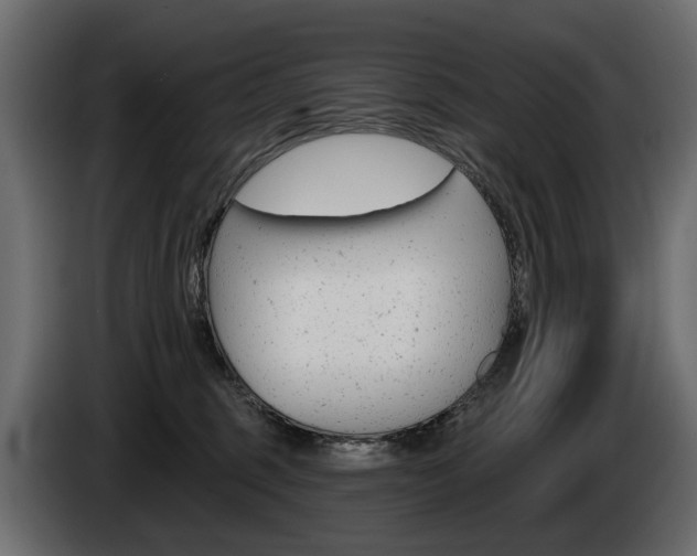 X0000085040375200703051030