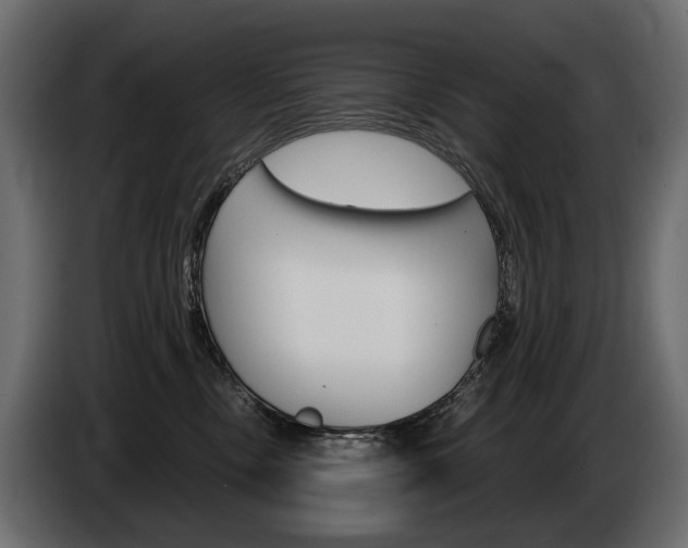 X0000085040378200703051030