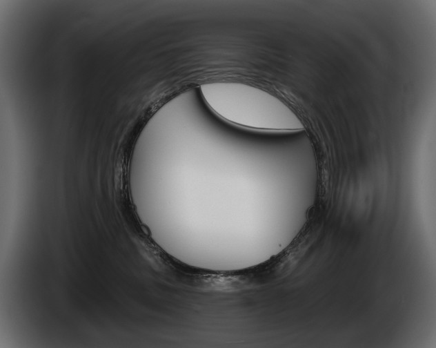 X0000085040379200703051030