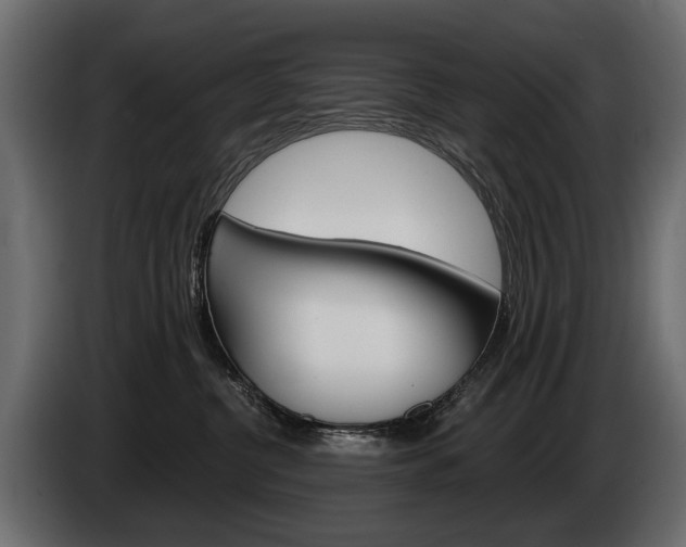 X0000085040380200703051030