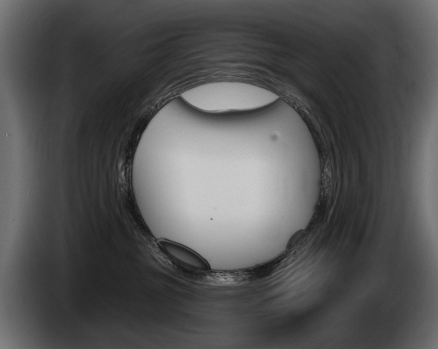 X0000085040381200703051030