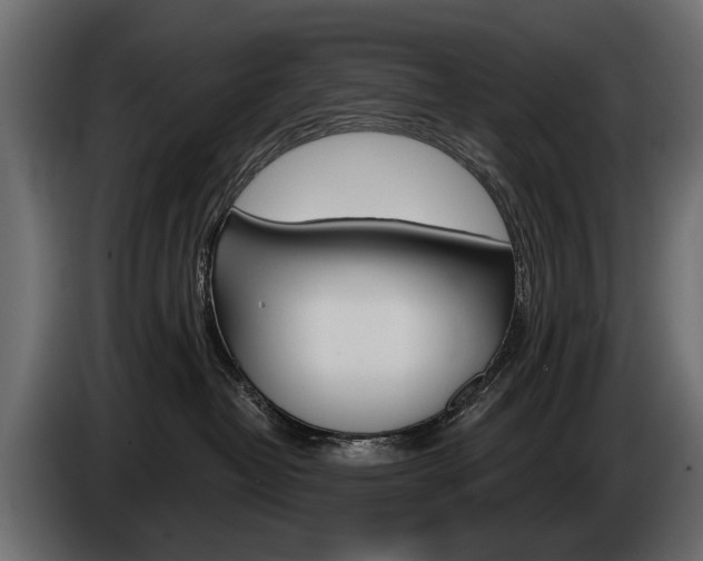 X0000085040382200703051030