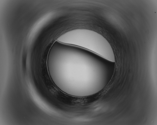 X0000085040383200703051030
