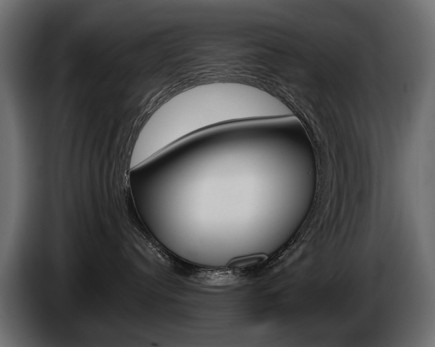 X0000085040384200703051030