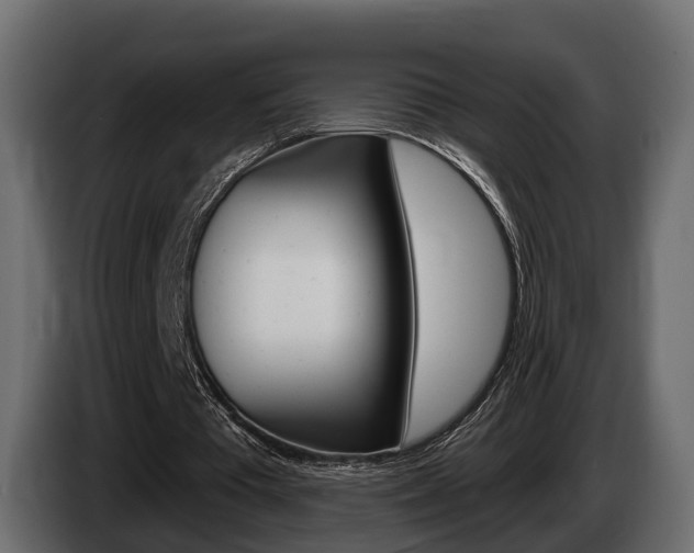 X0000085040385200703051029