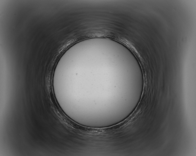 X0000085040386200703051029