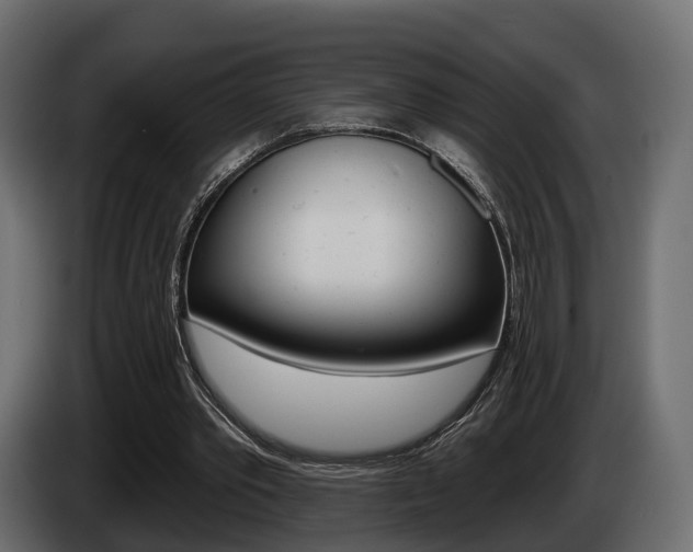 X0000085040389200703051029