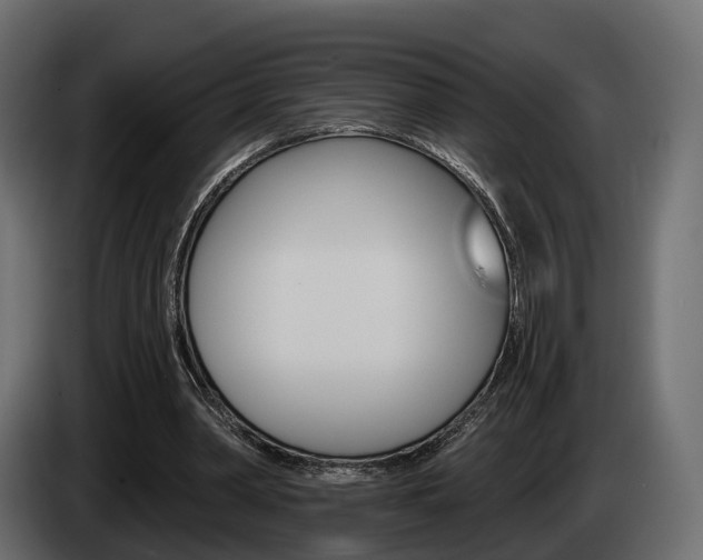 X0000085040390200703051029
