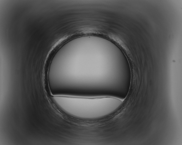 X0000085040391200703051029