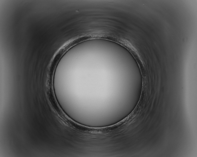 X0000085040392200703051029