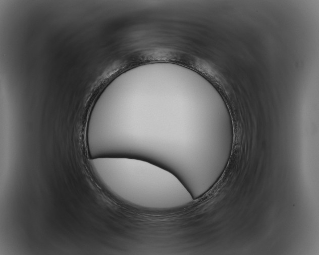 X0000085040394200703051029