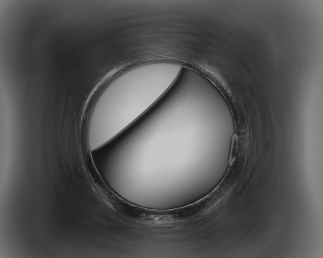X0000085040395200703051029