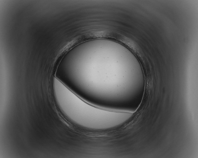 X0000085040397200703051029