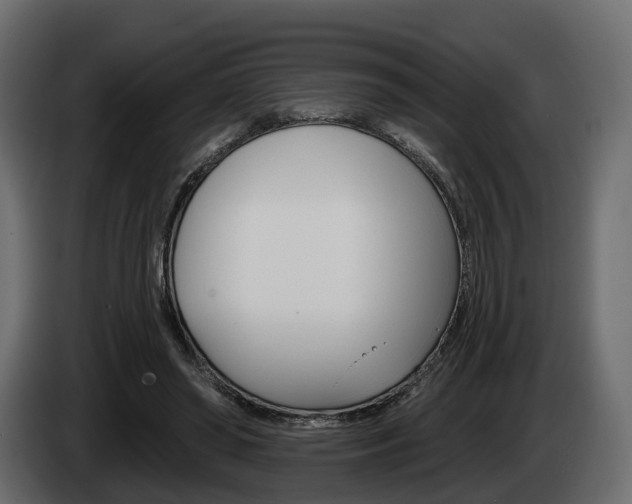 X0000085040398200703051029