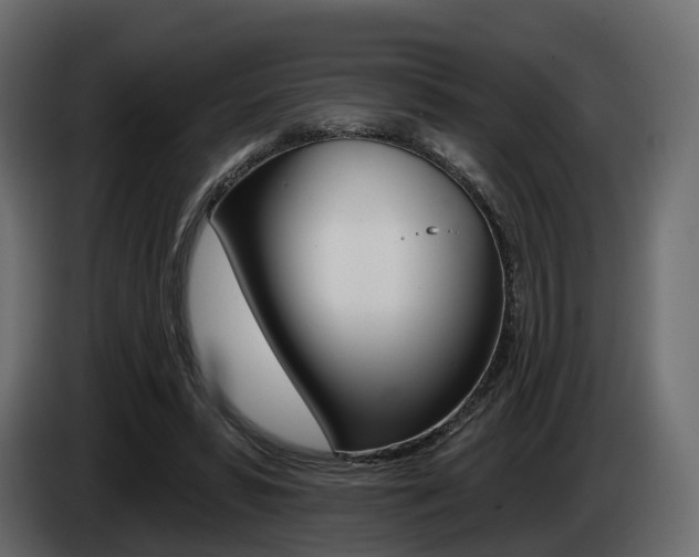 X0000085040399200703051029