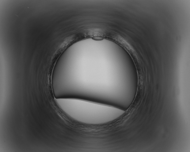 X0000085040401200703051029