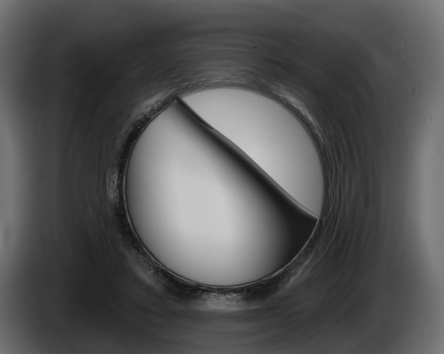 X0000085040403200703051029