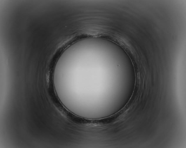 X0000085040404200703051029