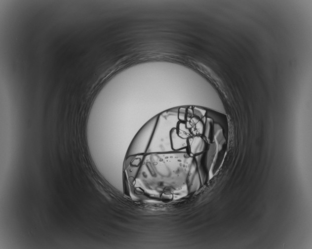 X0000085040405200703051029