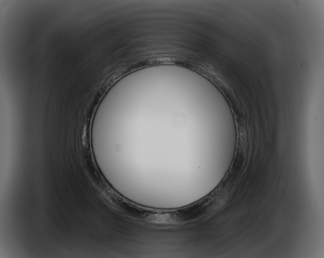 X0000085040406200703051029