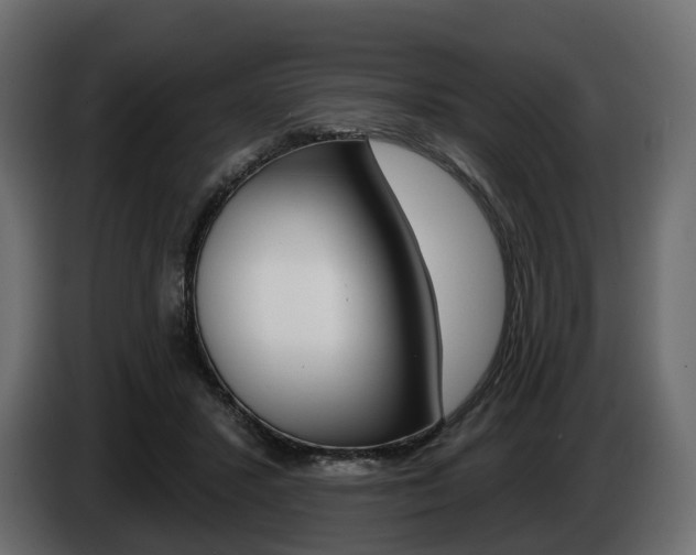 X0000085040407200703051029