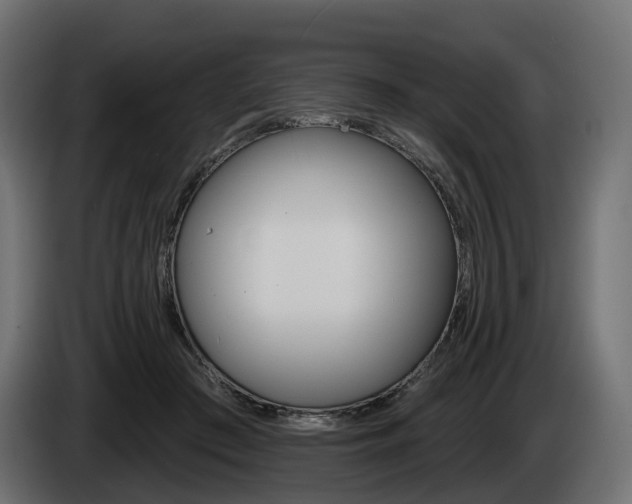 X0000085040409200703051029