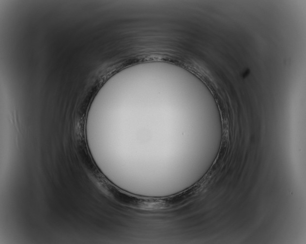 X0000085040410200703051029