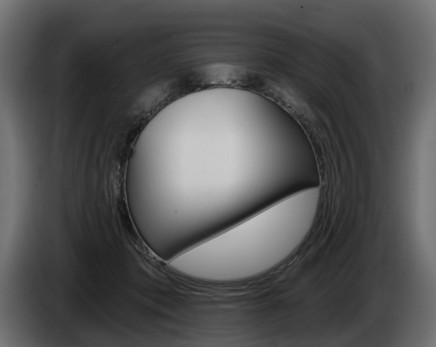 X0000085040413200703051029