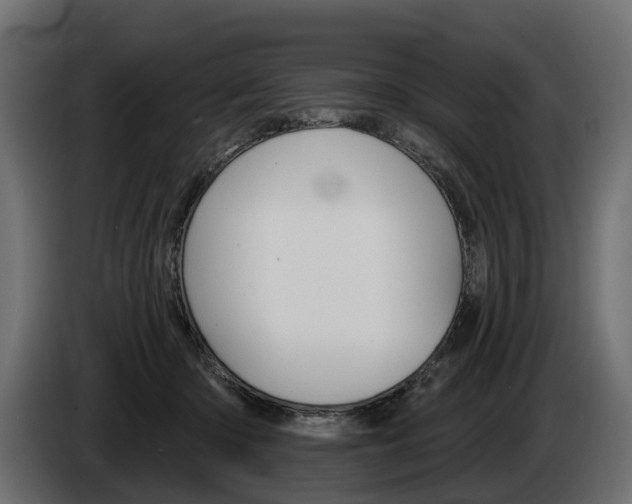 X0000085040414200703051029