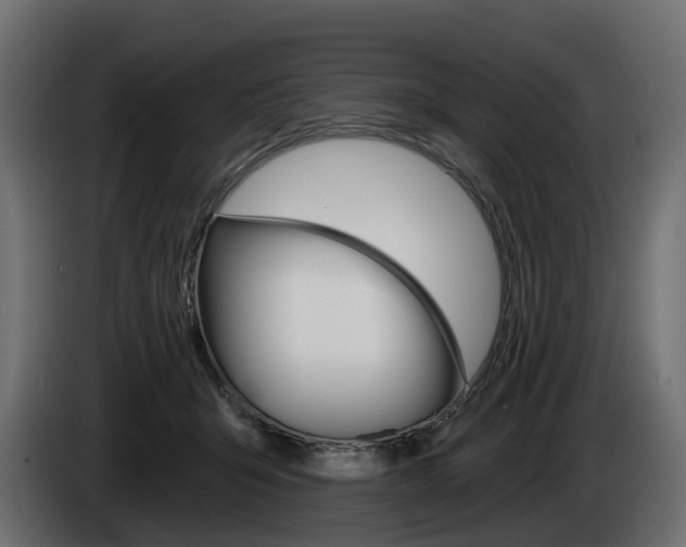 X0000085040415200703051029
