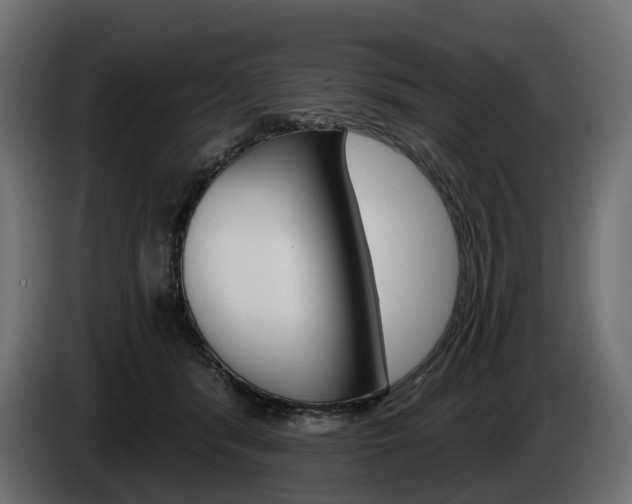 X0000085040416200703051029