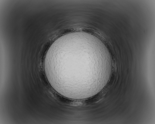 X0000085040418200703051029