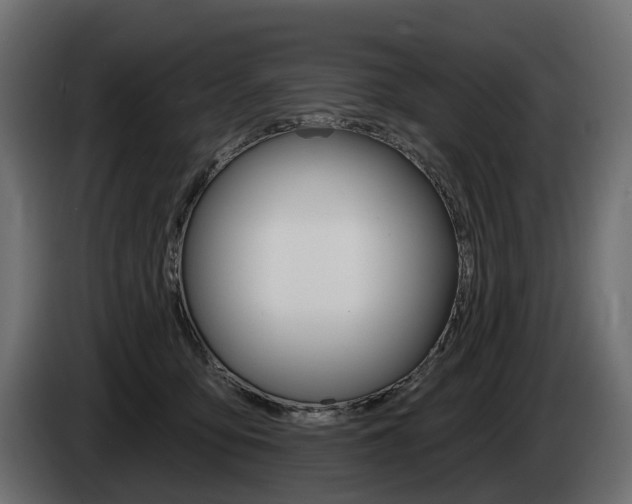 X0000085040419200703051029