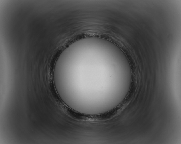 X0000085040420200703051029