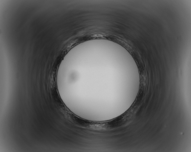 X0000085040422200703051029