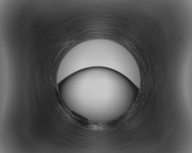 X0000085040423200703051029