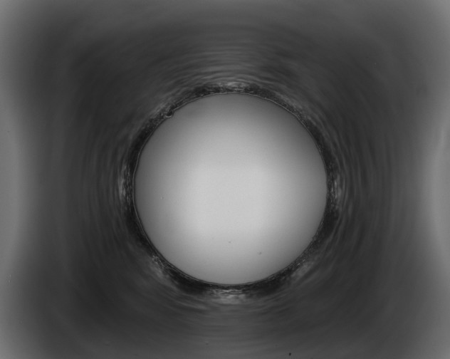 X0000085040424200703051029