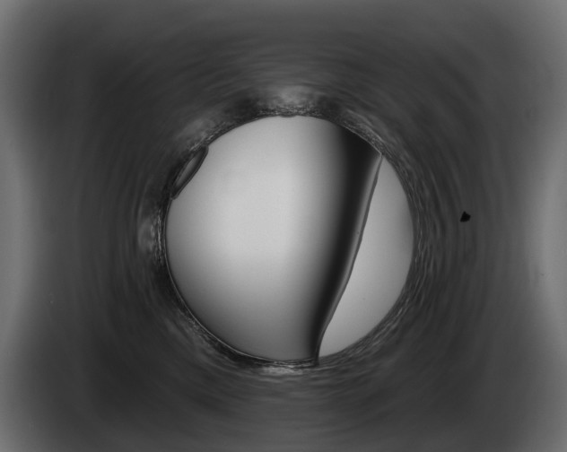 X0000085040425200703051029