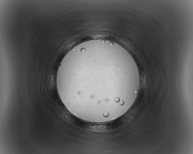 X0000085040426200703051029