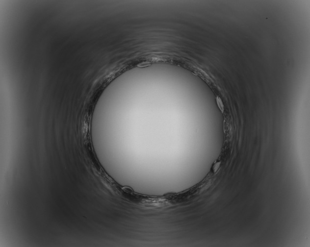 X0000085040427200703051029