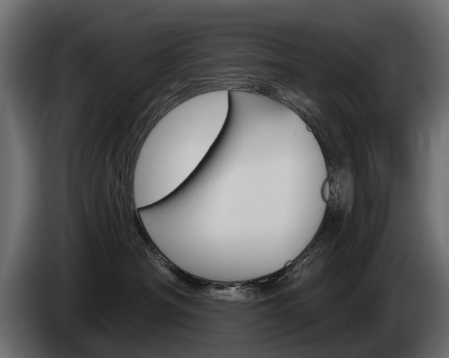 X0000085040430200703051029