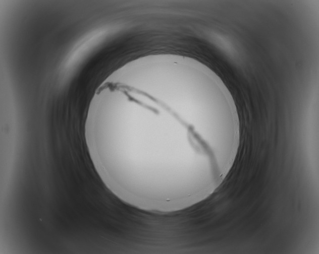 X0000085040431200703051029