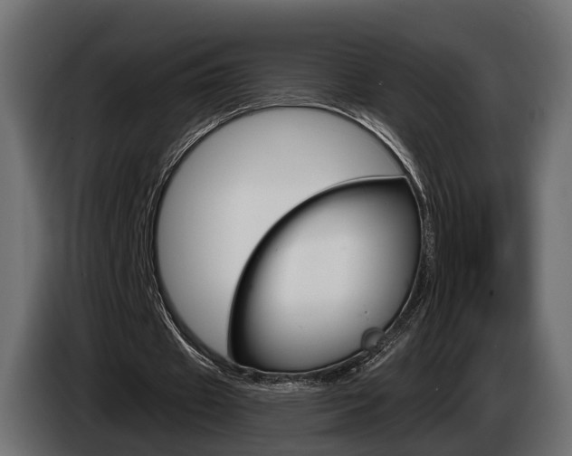 X0000085040433200703051028