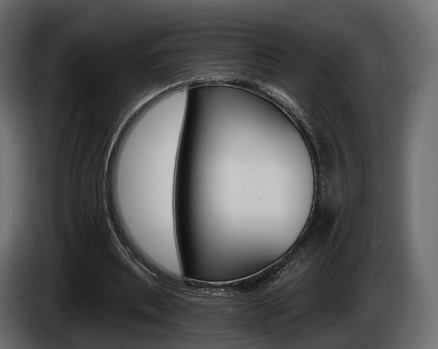 X0000085040439200703051028