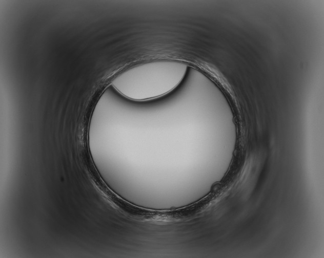 X0000085040441200703051028