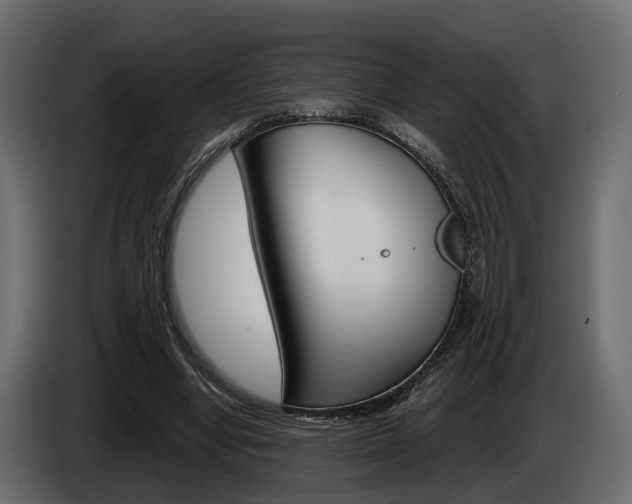 X0000085040442200703051028