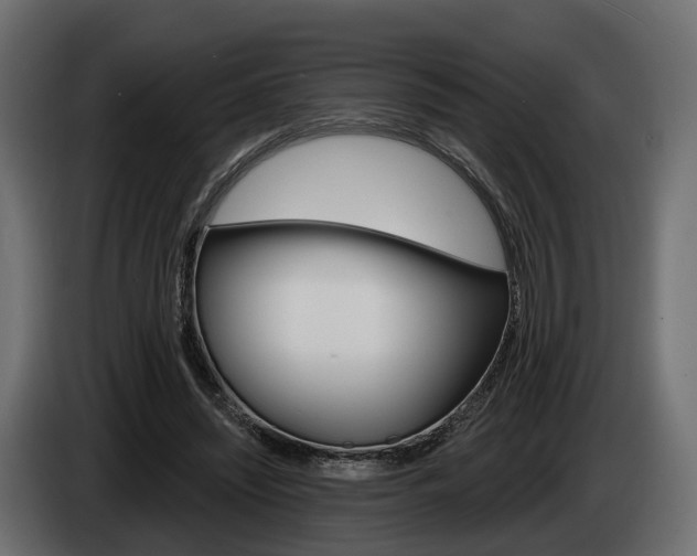 X0000085040444200703051028