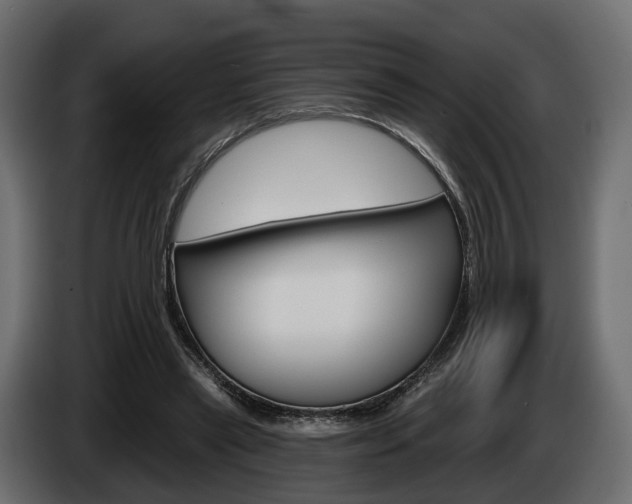 X0000085040445200703051028
