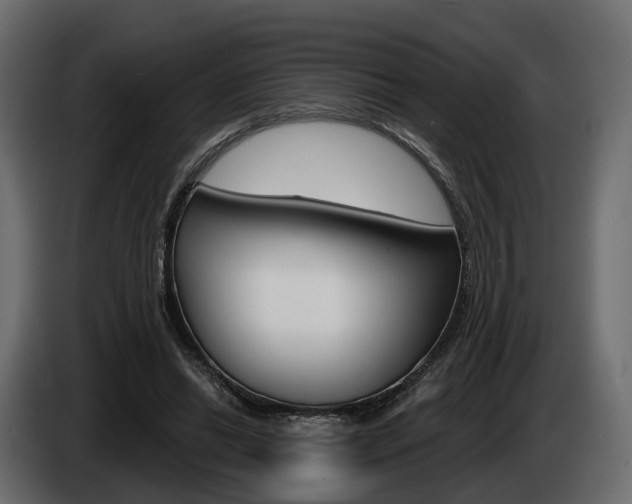 X0000085040446200703051028