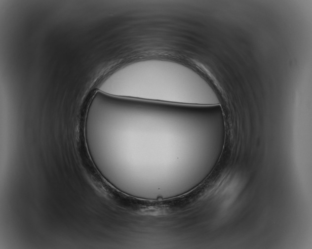 X0000085040447200703051028